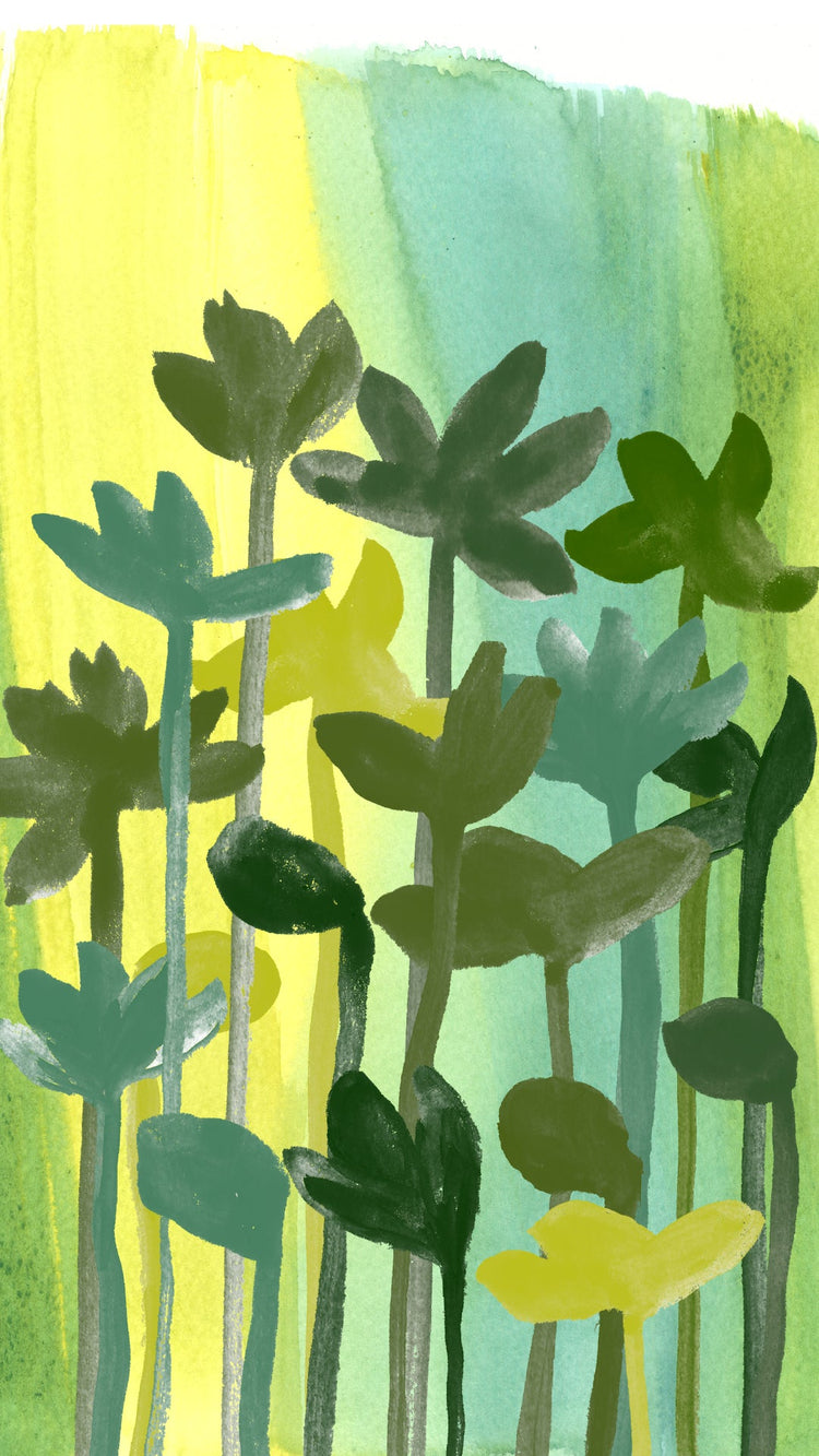 La sélection du printemps
