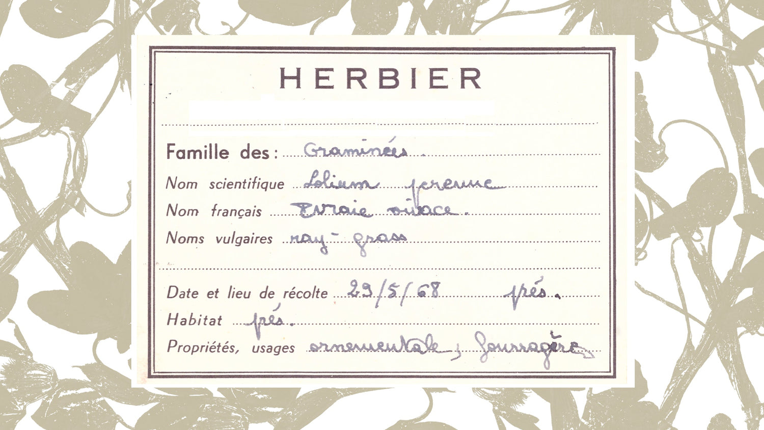 Herbarium