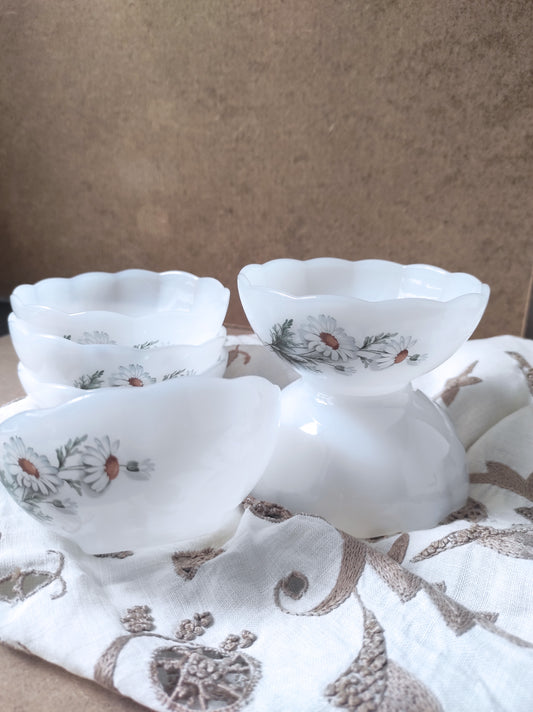 Six coupelles Marguerites