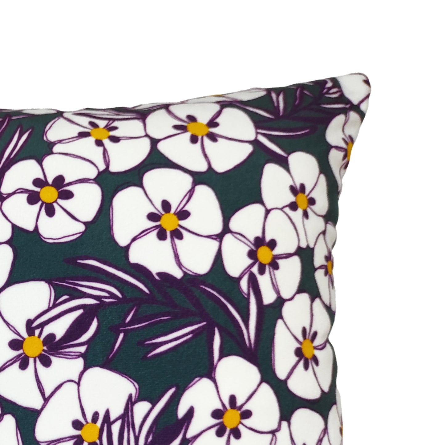 Housse de coussin Cistes